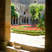 Photo de France - Carcassonne